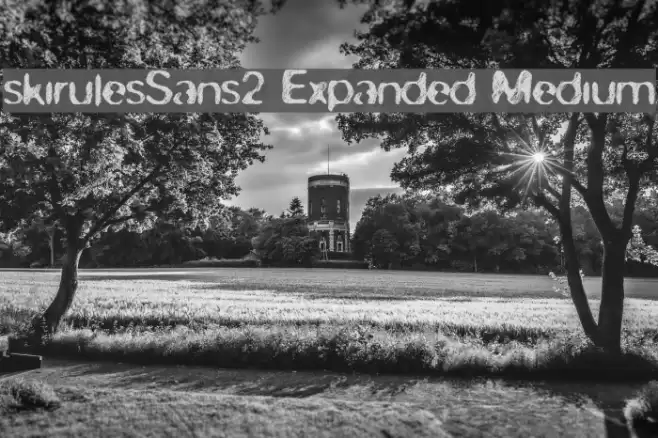 skirules-Sans2 Expanded Medium Font examples