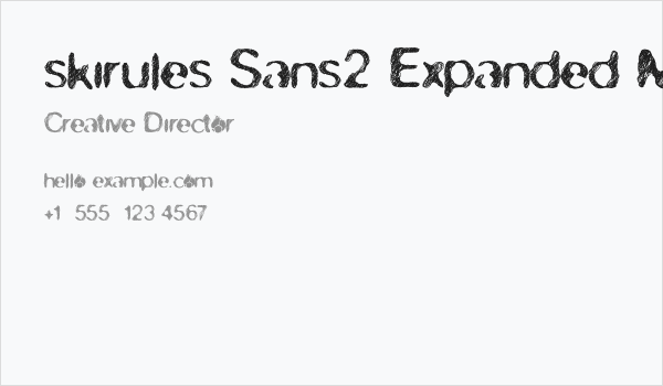 skirules-Sans2 Expanded Medium Business Card