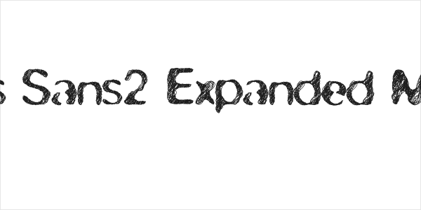 skirules-Sans2 Expanded Medium Logo