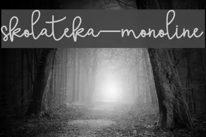 skolateka-monoline Font examples