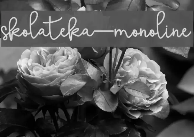 skolateka-monoline Font examples