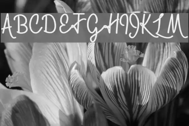 skolatekablod-monoline Font examples