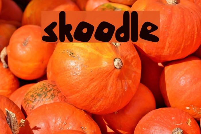 skoodle Example 2