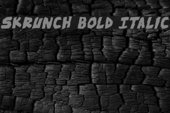skrunch Bold Italic Font examples