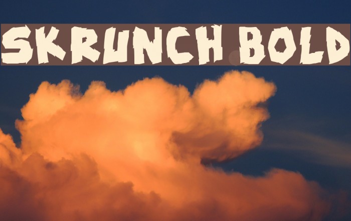 skrunch Bold फ़ॉन्ट examples