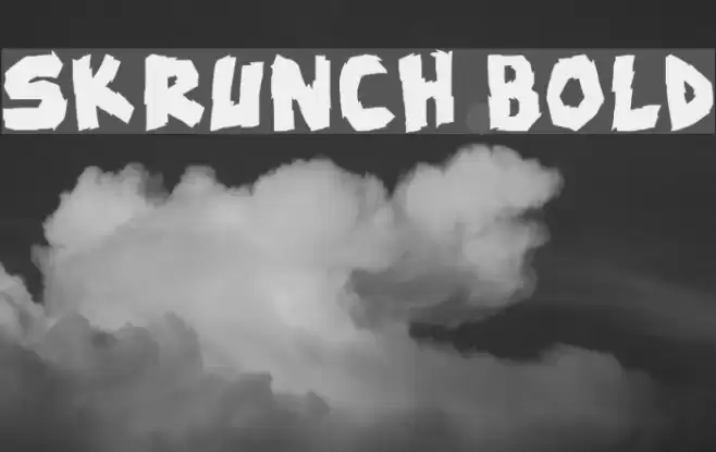 skrunch Bold Font examples
