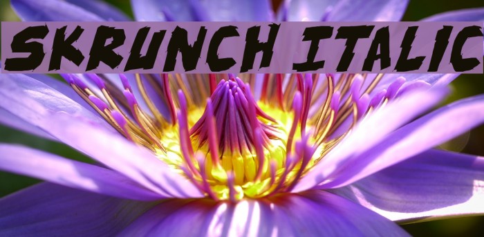 skrunch Italic Font examples
