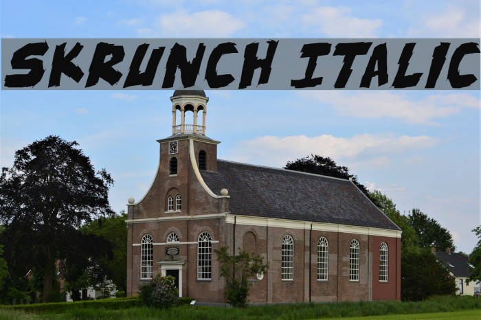 skrunch Italic Font examples