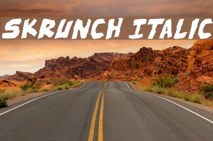 skrunch Italic Font examples