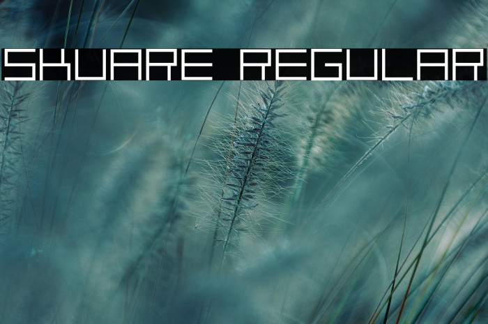 skuare Regular Example 2