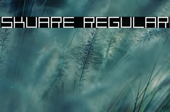 skuare Regular Example 2