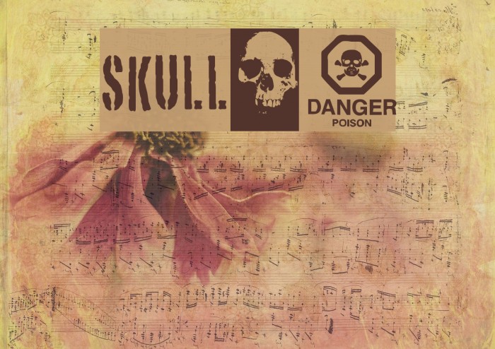 skull_TS Font examples