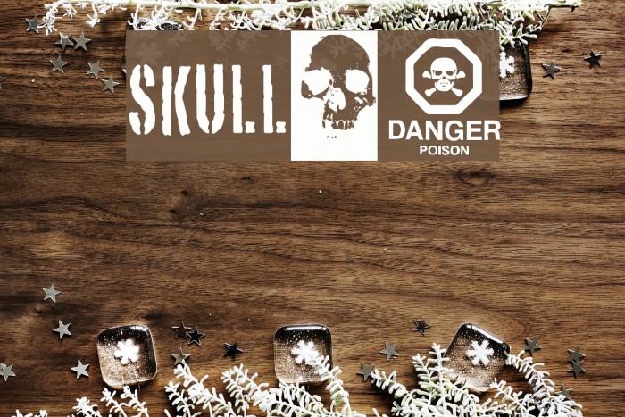skull_TS Font examples
