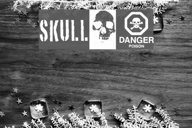 skull_TS Font examples