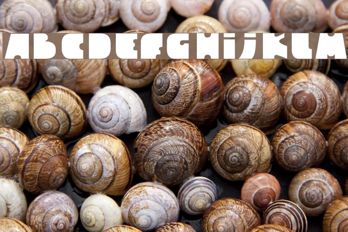 skull_font00 Font examples