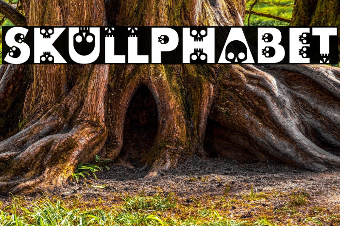 skullphabet Font examples