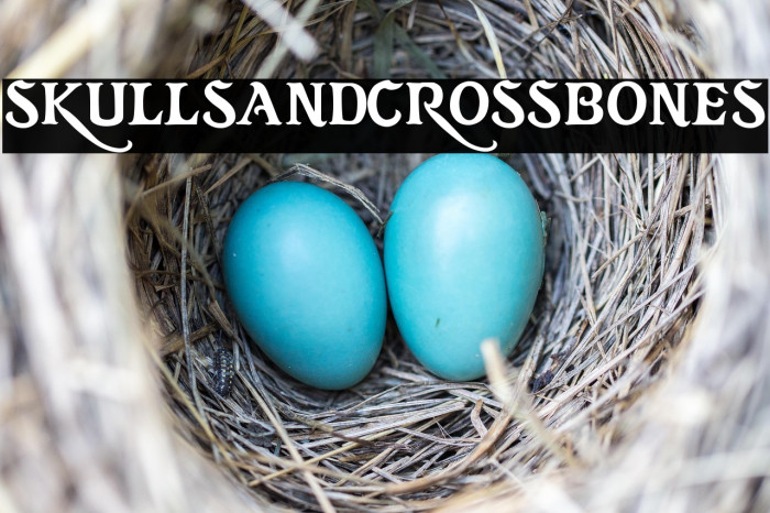 skullsandcrossbones Example 1