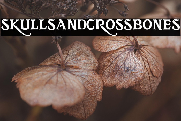 skullsandcrossbones Example 2