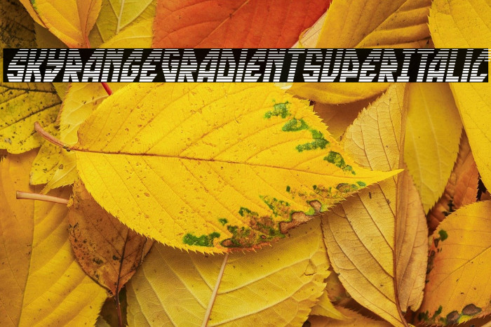 skyrange Gradient Super-Italic Example 3