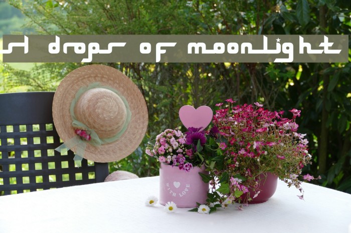 SL Drops Of Moonlight Font examples
