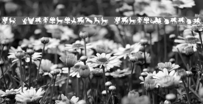 SL Mythological Silhouettes Font examples