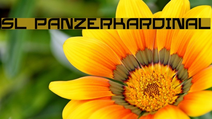 SL Panzerkardinal 字体 examples