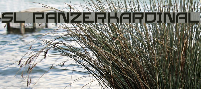 SL Panzerkardinal 字体 examples