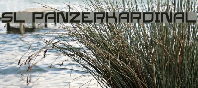 SL Panzerkardinal Example 3