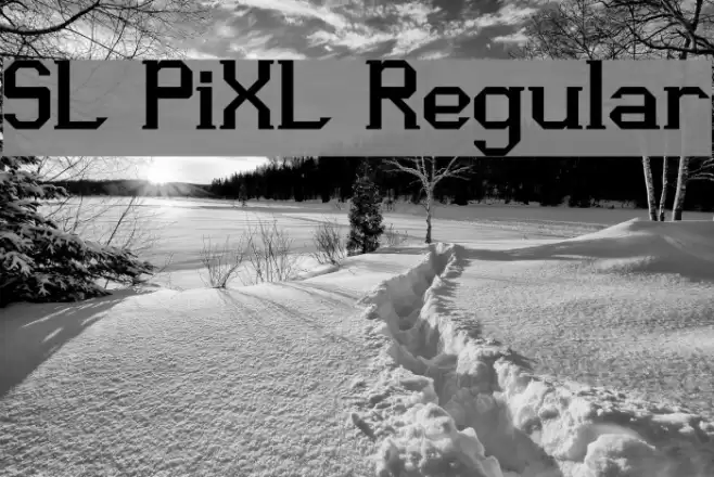 SL PiXL Regular Font examples