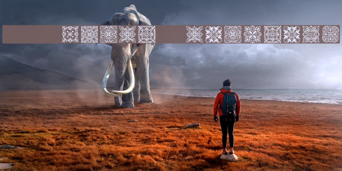 SL Square Ornaments Example 2