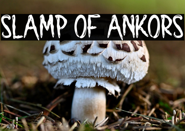 SLAMP OF ANKORS Example 3