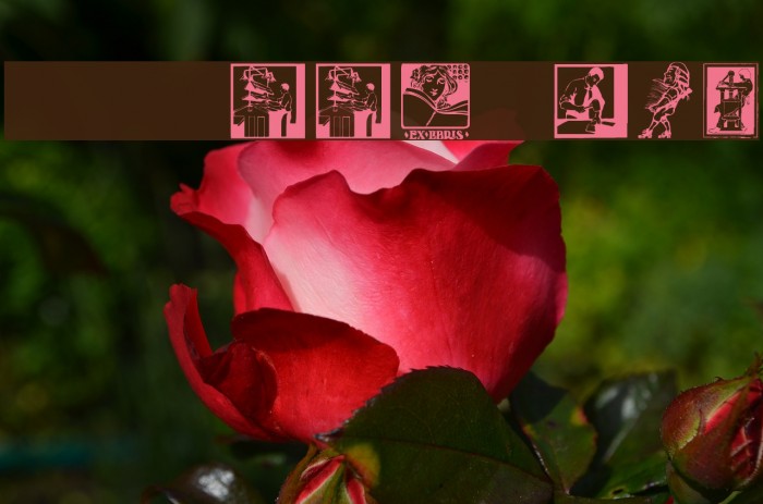 SLBookArts Example 1