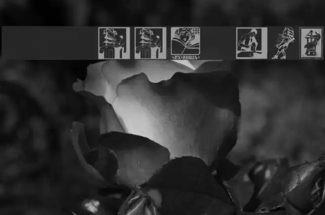 SLBookArts Font examples