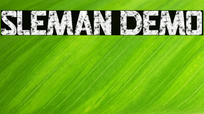 SLEMAN DEMO Example 2