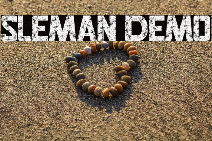 SLEMAN DEMO Example 3