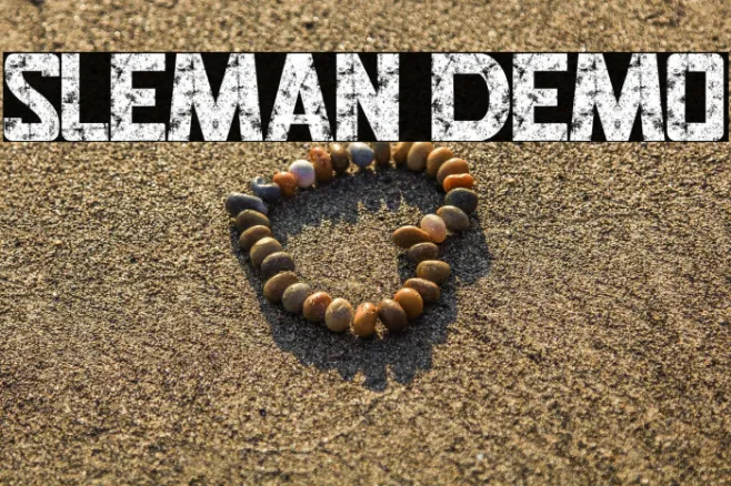 SLEMAN DEMO Example 3