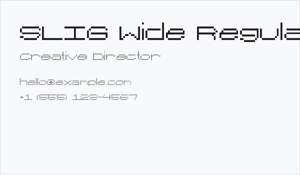 SLIG Wide Regular Business Card