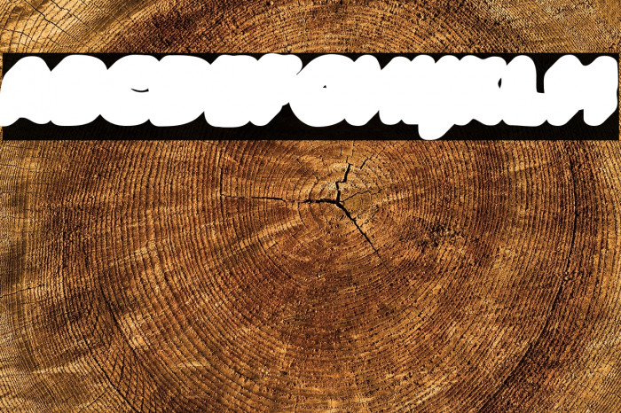 SLIME EXTRA PERSONAL USE Bold Example 2