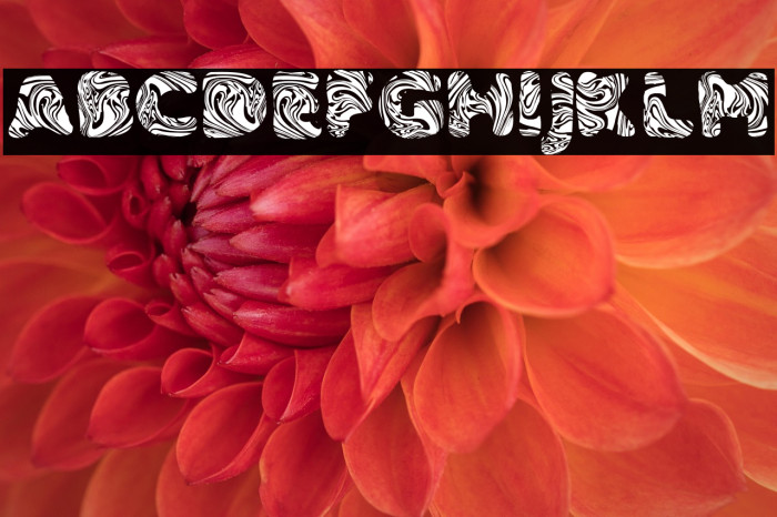 SLIME PERSONAL USE Bold Example 1