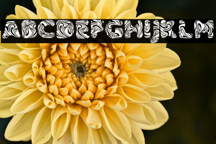 SLIME PERSONAL USE Bold Example 2