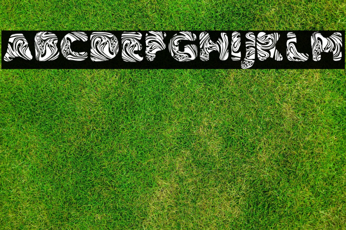 SLIME PERSONAL USE Bold Example 3