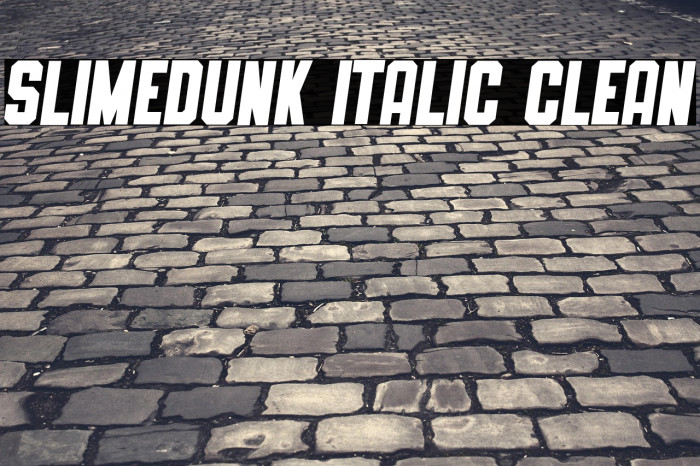 SLIMEDUNK ITALIC CLEAN Example 1