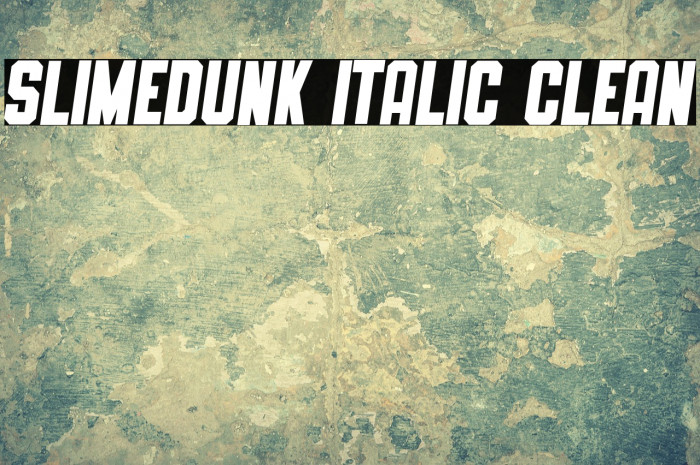 SLIMEDUNK ITALIC CLEAN Example 3