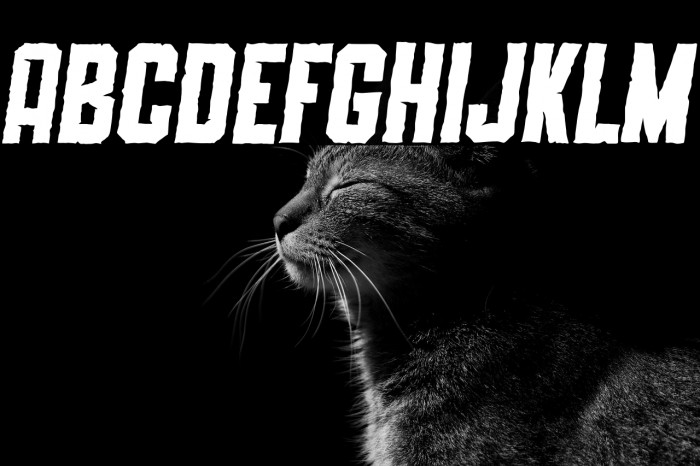 SLIMEDUNK ITALIC ROUGH Example 1