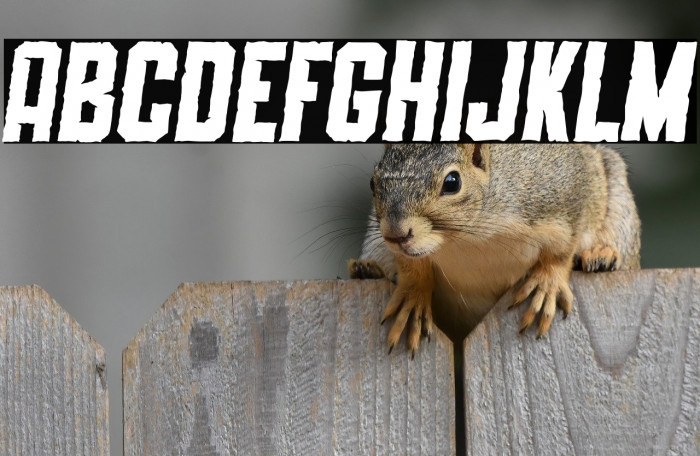 SLIMEDUNK ITALIC ROUGH Example 3