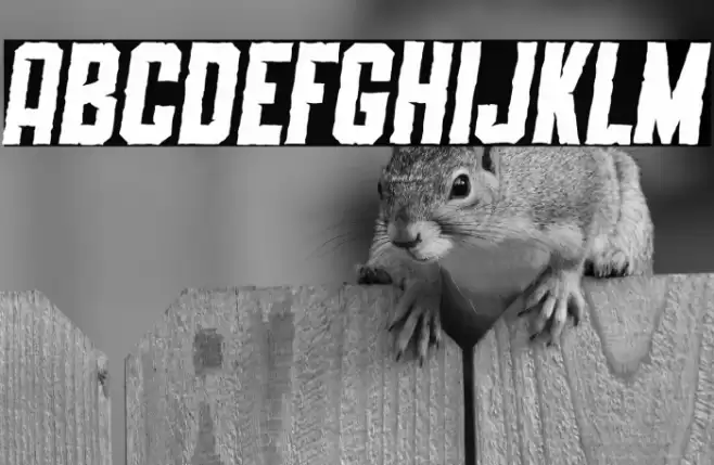 SLIMEDUNK ITALIC ROUGH Font examples