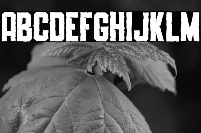 SLIMEDUNK ROUGH Font examples