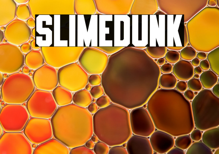 SLIMEDUNK Example 1