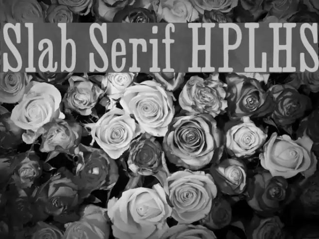 Slab Serif HPLHS Font examples
