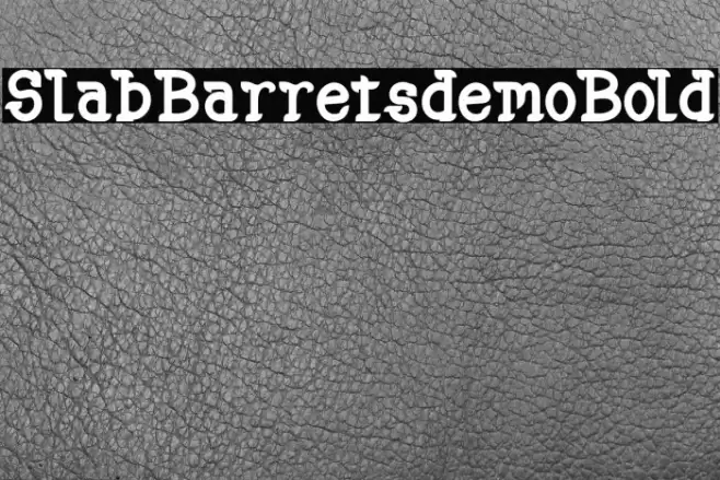 SlabBarretsdemoBold Font examples